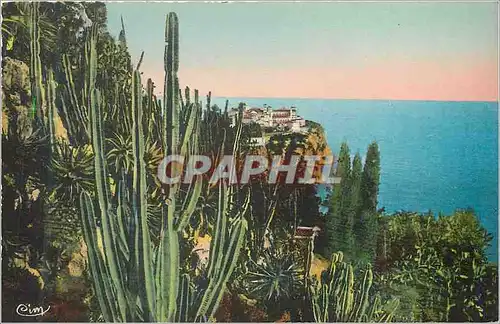 Cartes postales Monaco vu a Travers les Jardins Exotiques