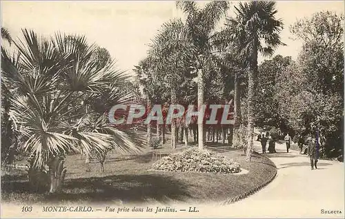 Cartes postales Monte Carlo vue Prise dans les Jardins