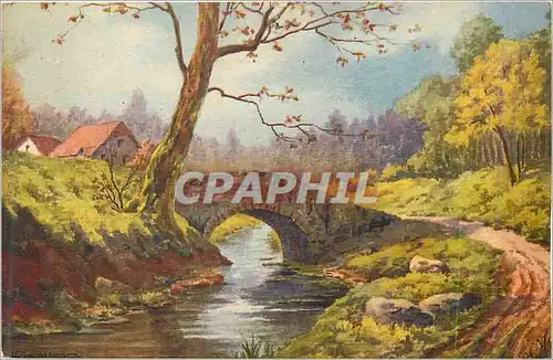 Cartes postales Fantaisie