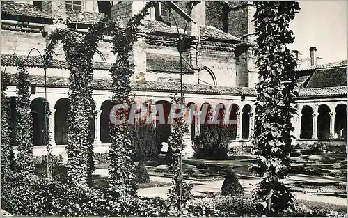 Cartes postales moderne Marmande (Lot et Garonne) le Jardin du Cloitre