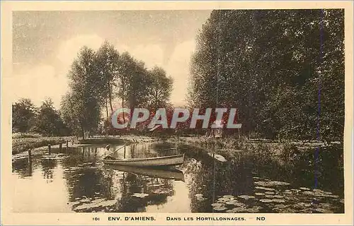 Cartes postales Env d'Amiens Dans les Hortillonnages