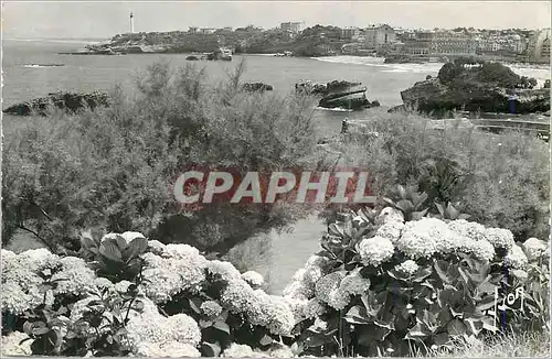 Cartes postales moderne Biarritz (B P) Le Cap St Martin