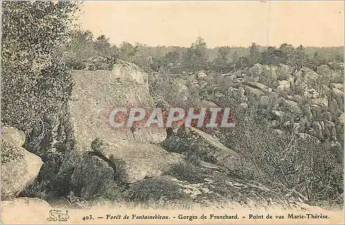 Ansichtskarte AK Foret de Fontainebleau Gorges de Franchard Point de vue Marie Therese