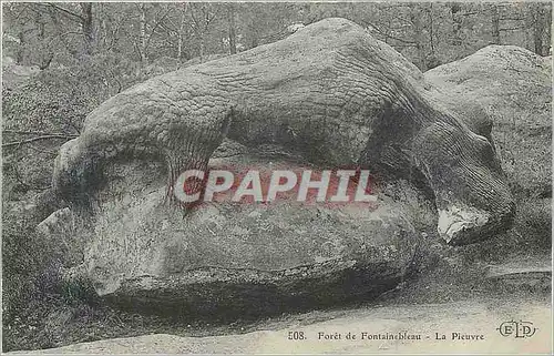 Ansichtskarte AK Foret de Fontainebleau La Pieuvre