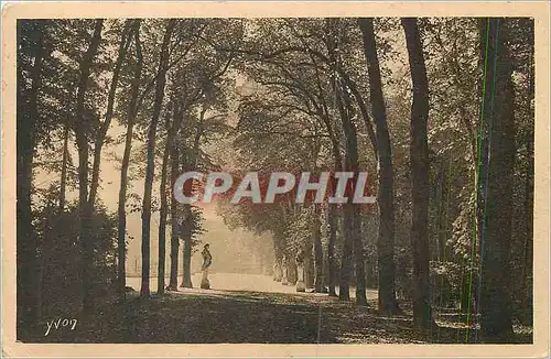 Cartes postales Splendeurs et Charmes de Versailles Allee de l'Ete