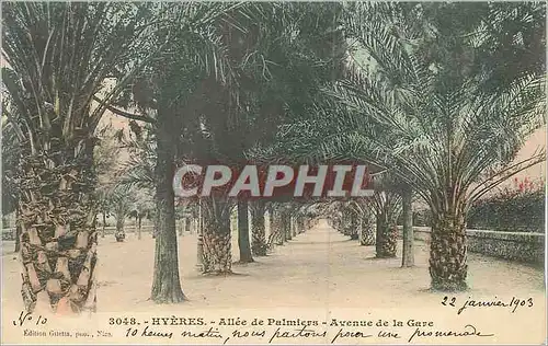 Cartes postales Hyeres Allee de Palmiers Avenue de la Gare