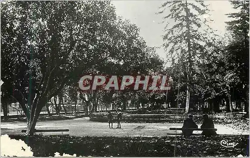 Cartes postales moderne Draguignan Le jardin anglais