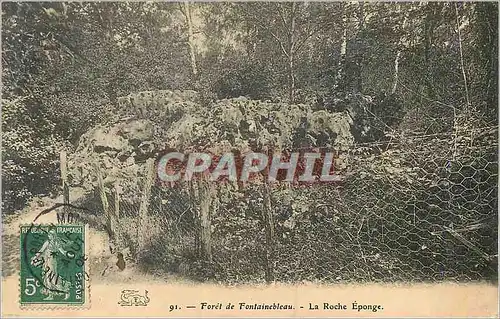 Ansichtskarte AK Foret de Fontainebleau La Roche Eponge