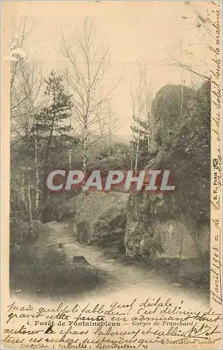 Ansichtskarte AK Foret de Fontainebleau Gorges de Franchard (carte 1900)