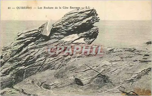 Ansichtskarte AK Quiberon Les Rochers de la Cote Sauvage