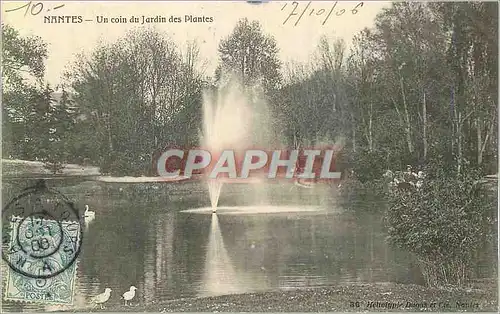 Cartes postales Nantes Un Coin du Jardin des Plantes