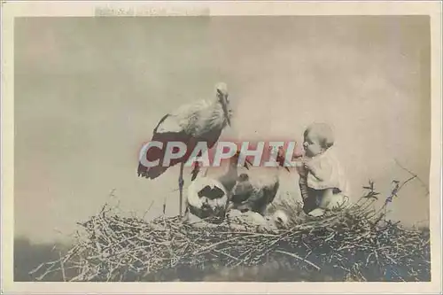 CARTE PHOTO Enfant B�b� Cigognes