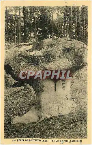 Cartes postales Foret de Fontainebleau Le Champignon d'Apremont