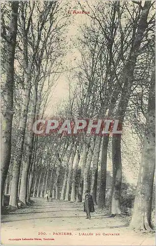 Cartes postales Pamiers l'Allee du Calvaire