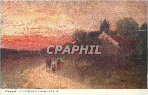 Cartes postales Coucher de Soleil en Ete dans la Lande