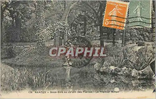 Cartes postales Nantes Sous Bois au Jardin des Plantes Le Primier Miroir