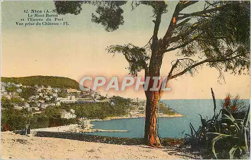 Cartes postales Nice (A M) Le Mont Boron et l'Entree du Port Vue prise du Chateau