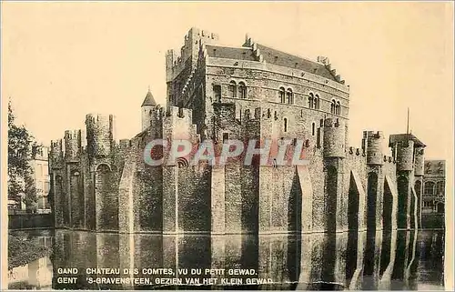Cartes postales Chateau des Comtes vu du Petit Gewad