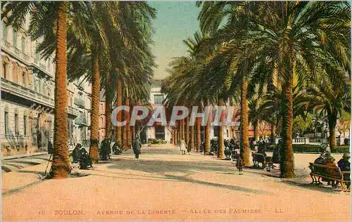 Cartes postales Toulon Avenue de la Liberte Allee des Palmier