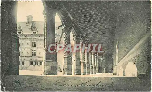 Cartes postales Blois la Colonnade du Chateau