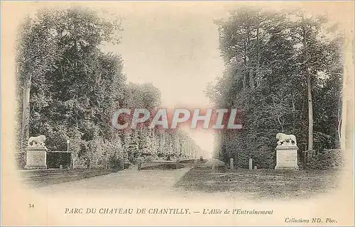 Ansichtskarte AK Parc du Chateau de Chantilly l'Allee de l'Entrainement Lion (carte 1900)