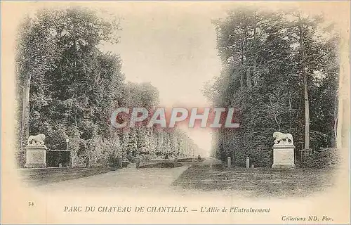 Cartes postales Parc du Chateau de Chantilly l'Allee de l'Entrainement Lion (carte 1900)