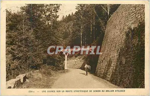 Cartes postales Une Source sur la Route Strategique de Sewen au Ballon d'Alsace