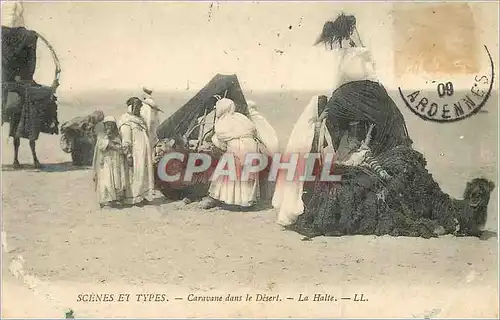 Cartes postales Scenes et Types Caravane dans le Desert la Halte