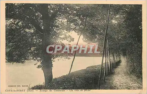 Cartes postales Coye la Foret (Oise) Etangs de Commelle Un Coin de Peche