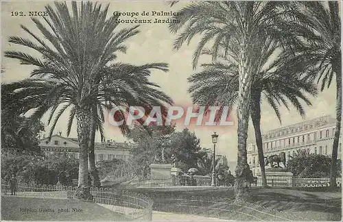 Cartes postales Nice Groupe de Palmiers Nouveaux Jardins