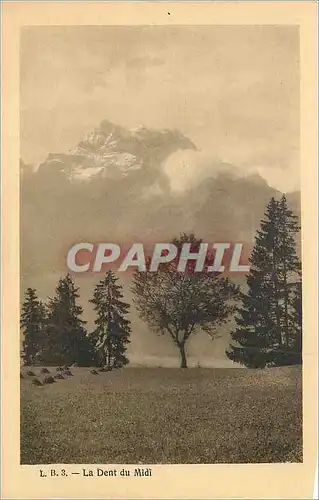 Cartes postales Le Dent du Midi