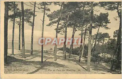 Cartes postales Arcachon Vue au Parc des Abatilles