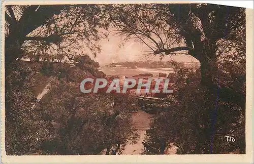 Ansichtskarte AK Biarritz La Cote Basque Les Beaux Paysages de France Vue prise a Travers les Tamaris