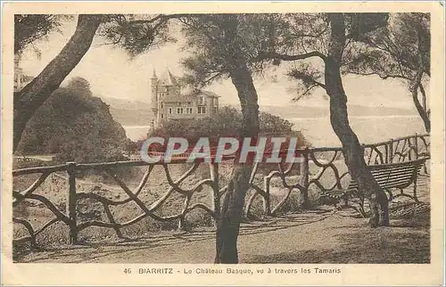 Cartes postales Biarritz Le Chateau Basque vu a Travers les Tamaris
