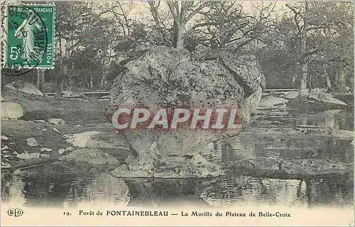 Ansichtskarte AK Foret de Fontainebleau La Morille du Plateau de Belle Croix