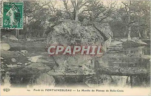 Cartes postales Foret de Fontainebleau La Morille du Plateau de Belle Croix