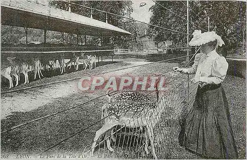 REPRO Lyon Le Parc de la Tete d'Or