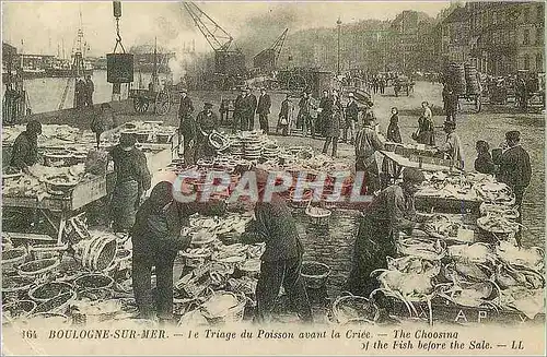 REPRO Boulogne sur Mer Le Triage du Poisson avant la Criee
