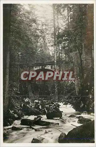 Cartes postales moderne Gerardmer Le Pont de la Vologne au Saut des Cuves