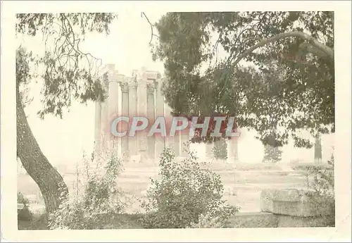 Photo Grece Zeus Olympien Athenes Greece