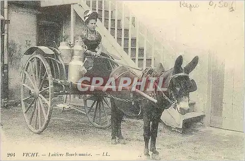 REPRO Vichy Laitiere Bourbonnaise Ane Donkey