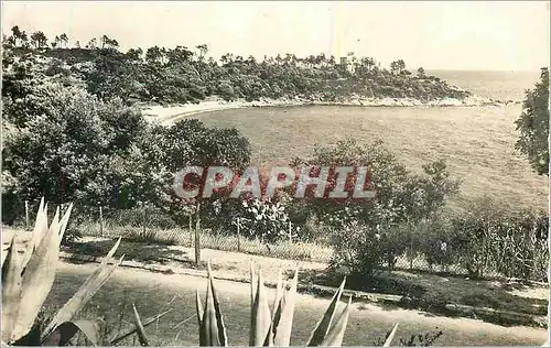 Cartes postales moderne Le Lavandou (Var) La Cote d'Azur La Fossette