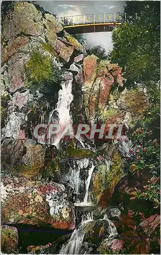 Cartes postales moderne Mont Aigoual (Gard) Cascade et Passerelle de L'Orgon