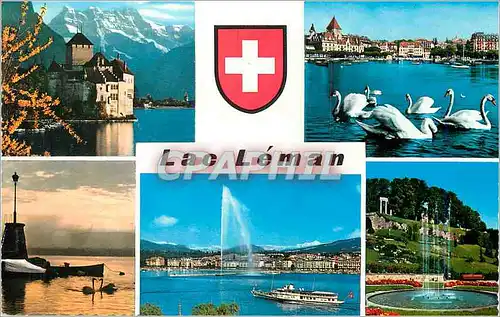 Cartes postales moderne Lac Leman Cygnes