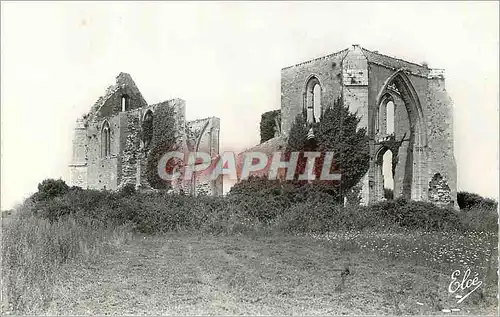 Cartes postales moderne Ile de Re (Chte Mme) Ruines de la Vieille Eglise