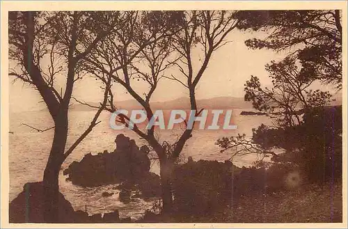 Cartes postales La Corniche d'Or Parc Santa Lucia