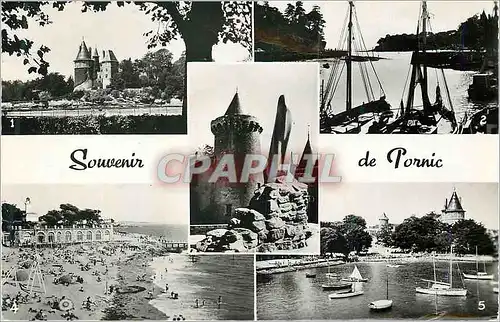 Cartes postales moderne Souvenir de Pornic Le Chateau Le Port N D de Recouvrance La Plage Le Casino La Plage et le Chate