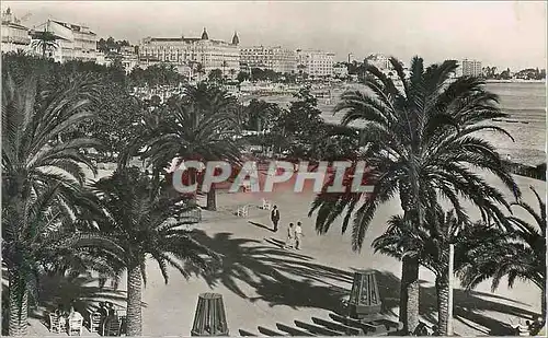 Moderne Karte Cannes Les Jardins Edouard VII et la Croisette