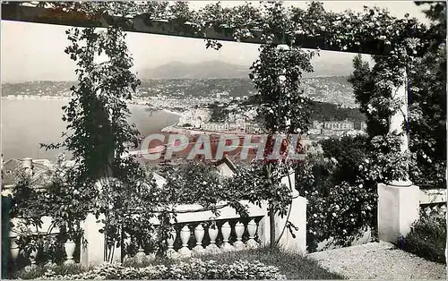 Cartes postales moderne Nice La Cote d'Azur Vue prise entre les Peroles Fleuries