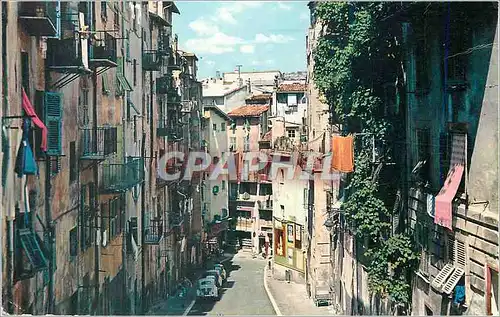 Cartes postales moderne Nice La Cote d'Azur La Vieille Ville Pittoresque